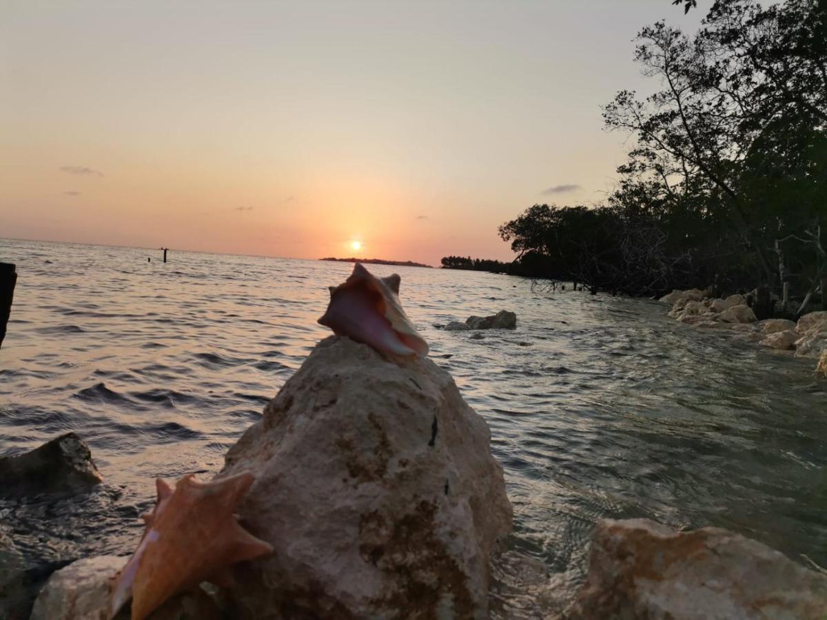 Hostel Villa Luz Beach Tintipan Island エクステリア 写真