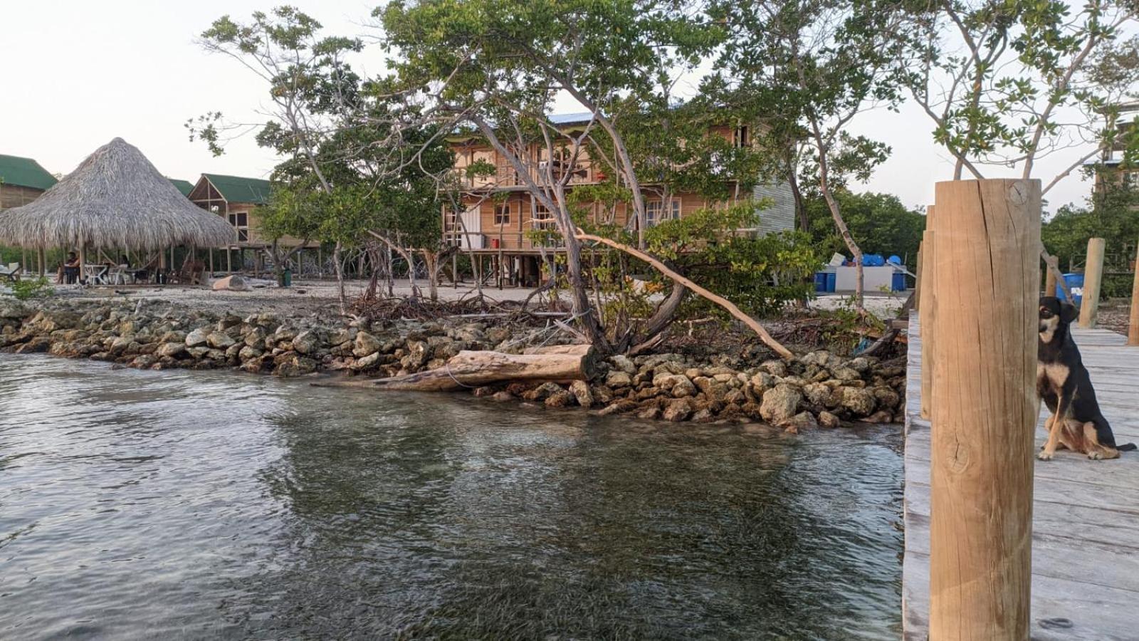 Hostel Villa Luz Beach Tintipan Island エクステリア 写真
